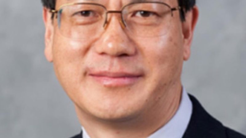 连接器与端子：揭秘它们之间的本质区别