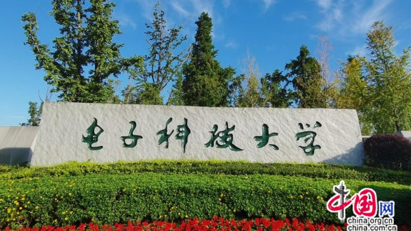 电子元器件定制：揭秘背后的关键考量**